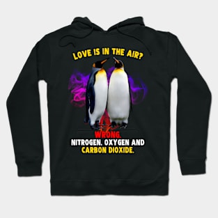 Funny And Cute Valentines Day Penguin Meme For Valentine Lover Hoodie